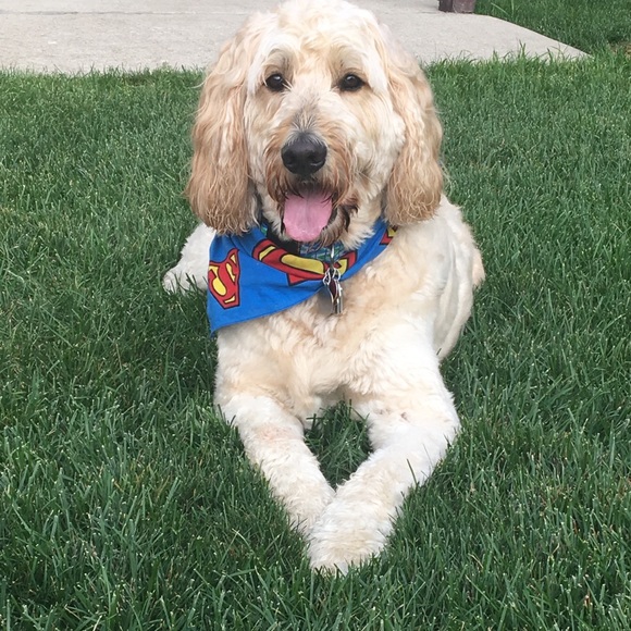 Meet your Posher, Jaclyn - Picture 1 of 1